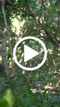 BIB:  <button type="button" onclick="openModal(28067155)" class="btn btn-primary btn-sm float-right" data-toggle="modal" data-target=".modal-high-quality">
                <i class="fa fa-download"></i> Download
                </button>